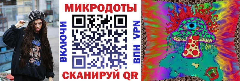 Купить закладки  Тында  Псилоцибиновые грибы мицелий 